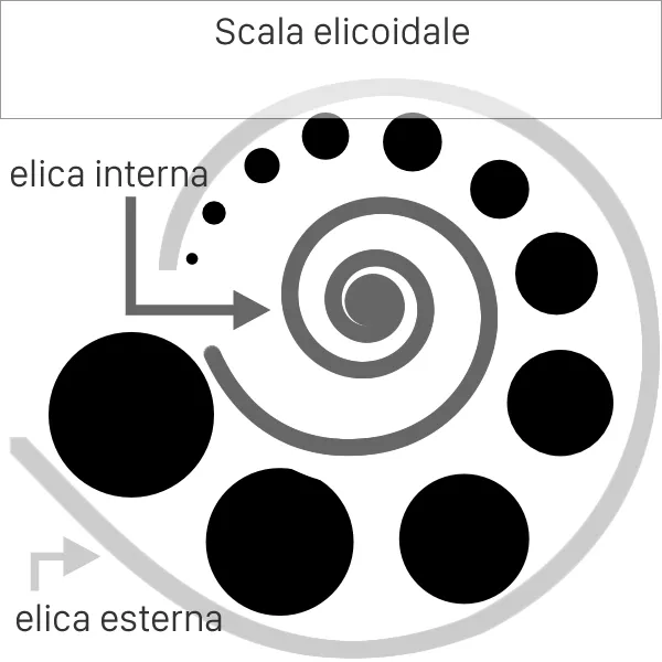 struttura scala elicoidale